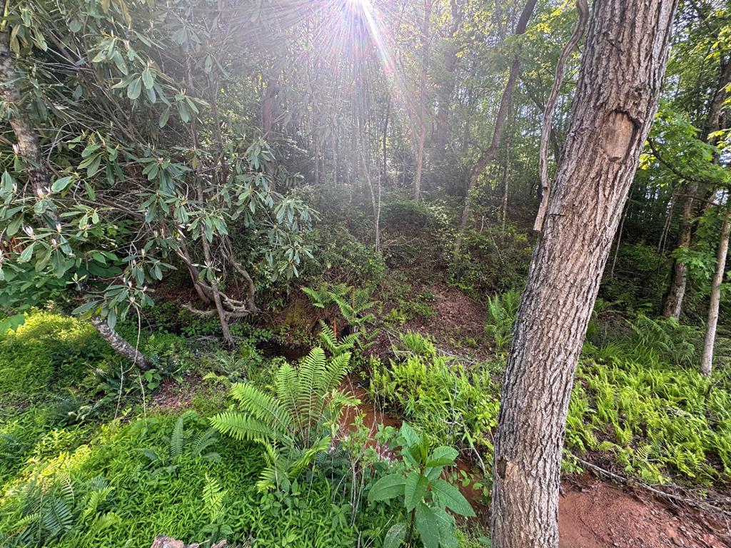 Lot 5 Grassy Creek Road
