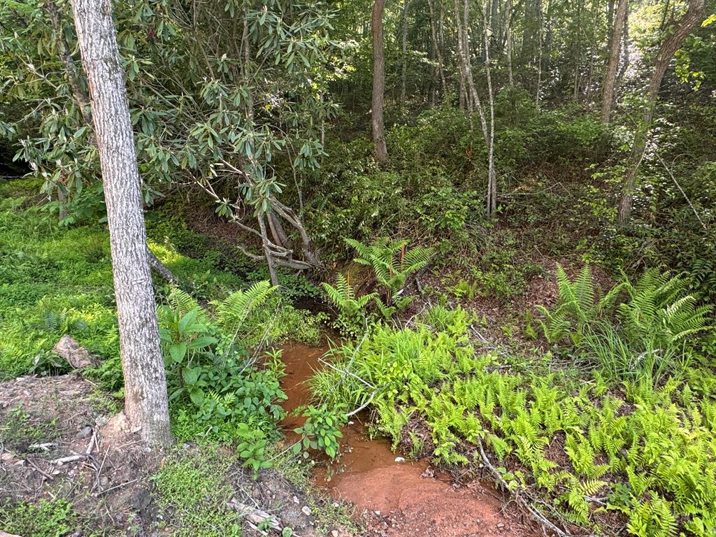 Lot 5 Grassy Creek Road
