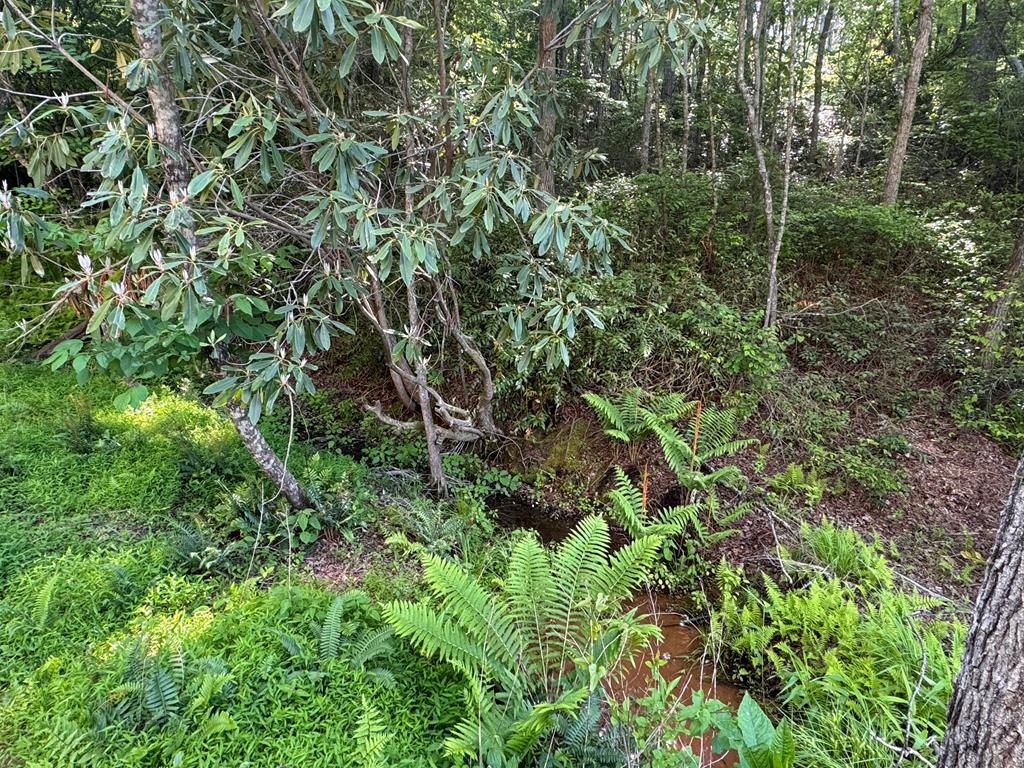 Lot 5 Grassy Creek Road