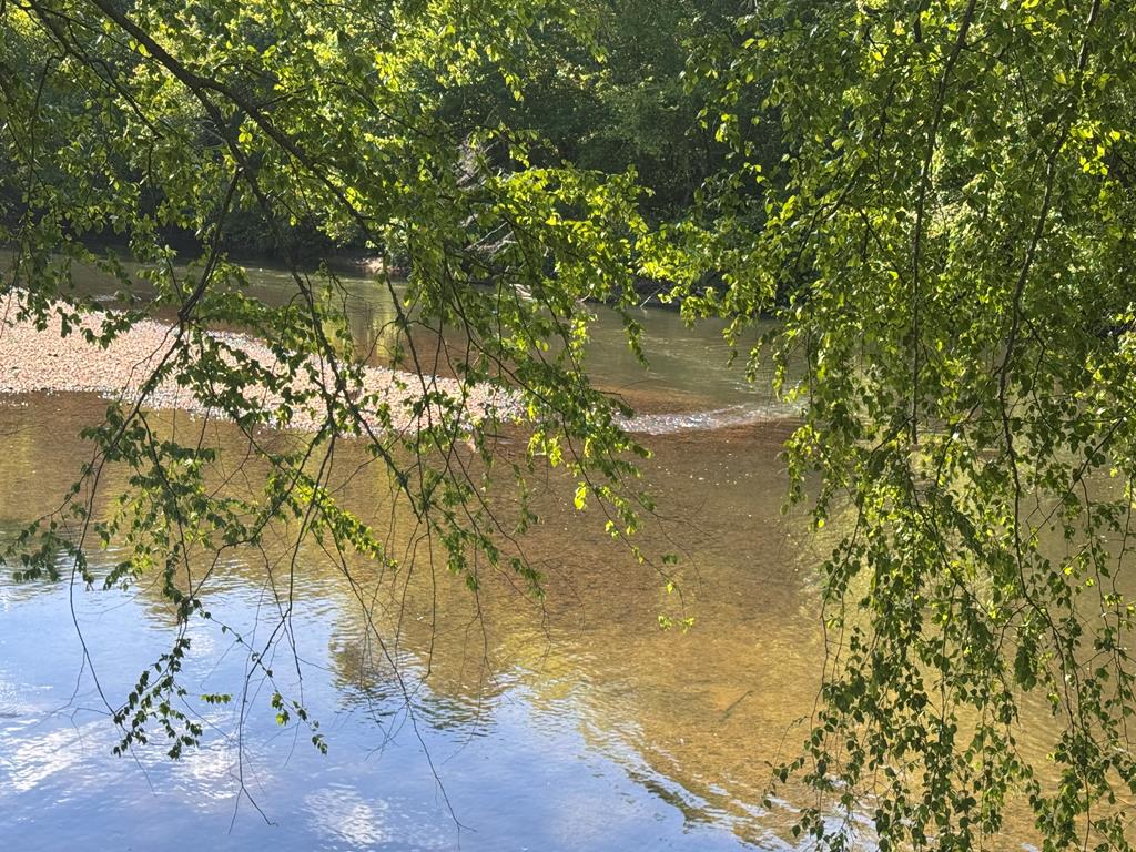 Lot 5 Grassy Creek Road