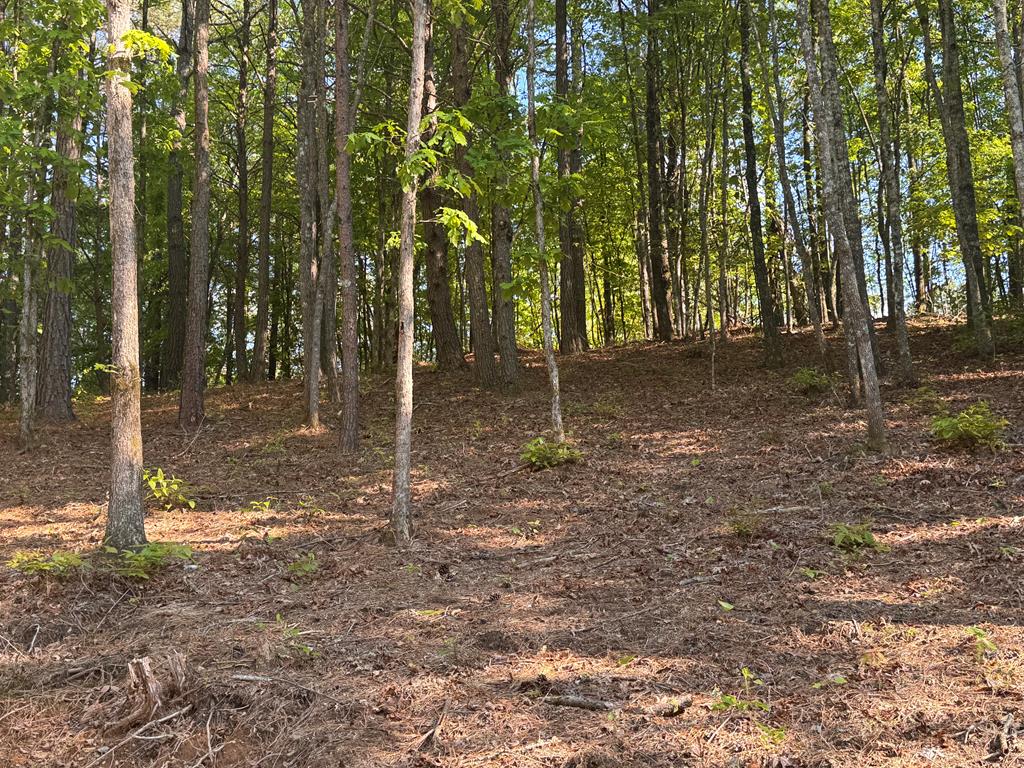 Lot 5 Grassy Creek Road