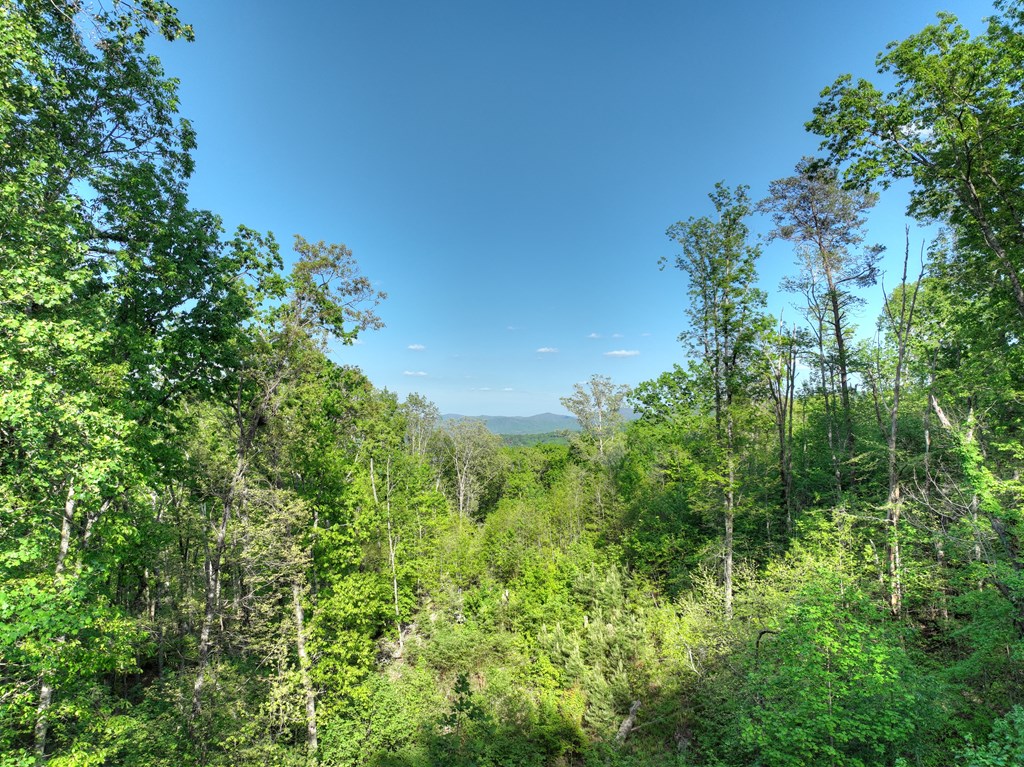 840 Deer Crest Road