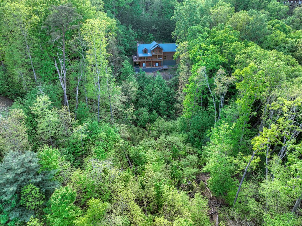 840 Deer Crest Road