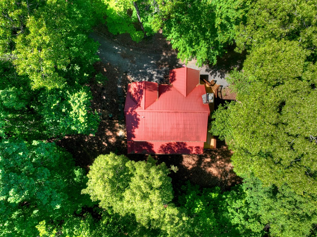 381 Morley Court