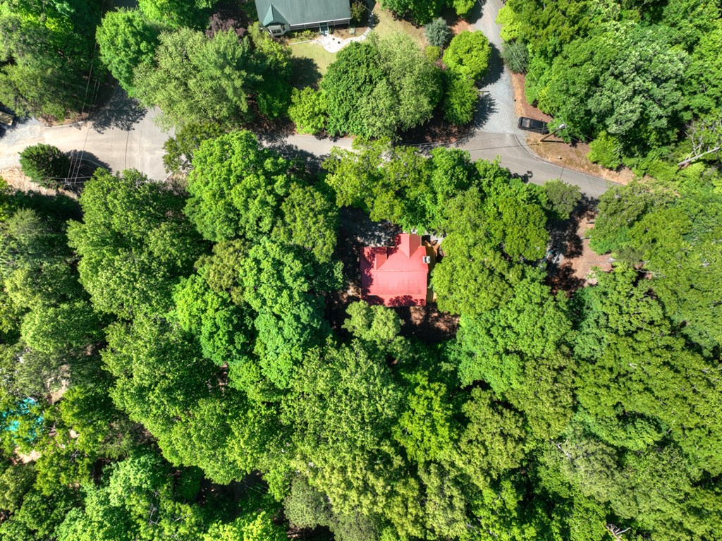 381 Morley Court