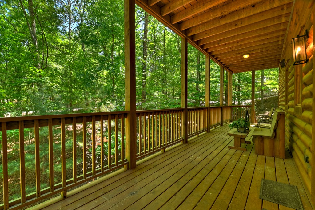 381 Morley Court