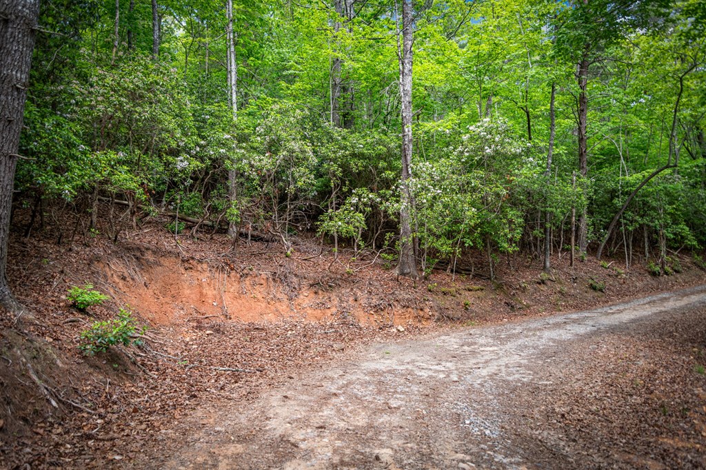 0 Morganton Hwy