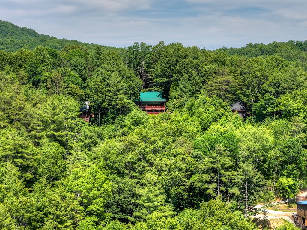 277 Hickory Nut Trail