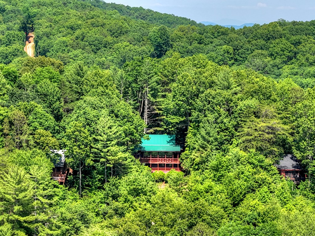 277 Hickory Nut Trail