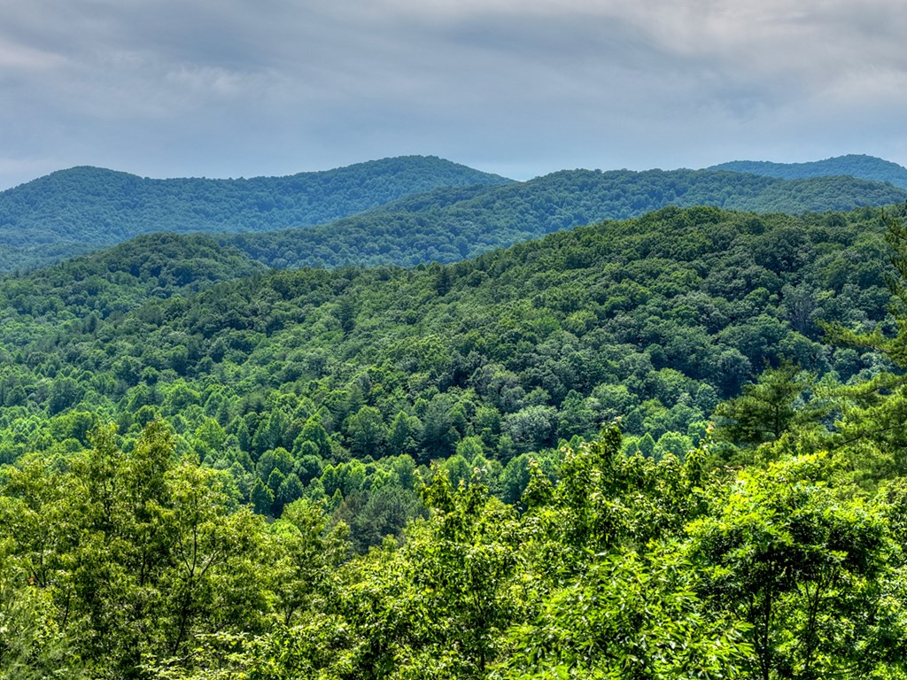 277 Hickory Nut Trail