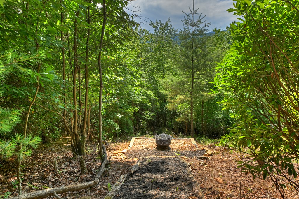 277 Hickory Nut Trail
