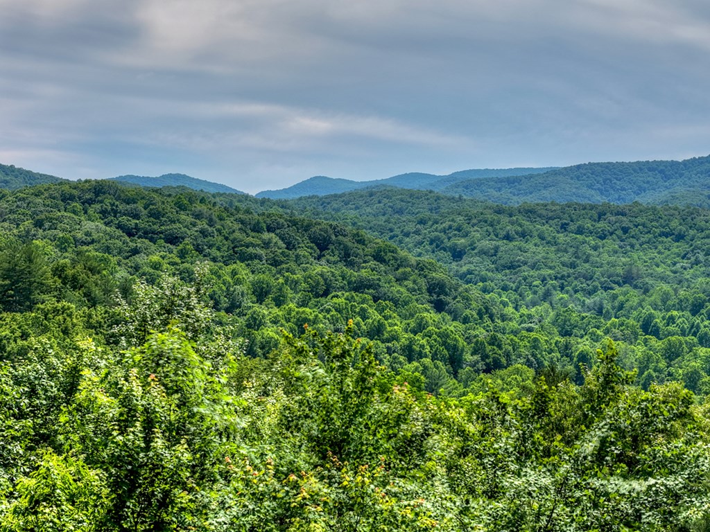 277 Hickory Nut Trail