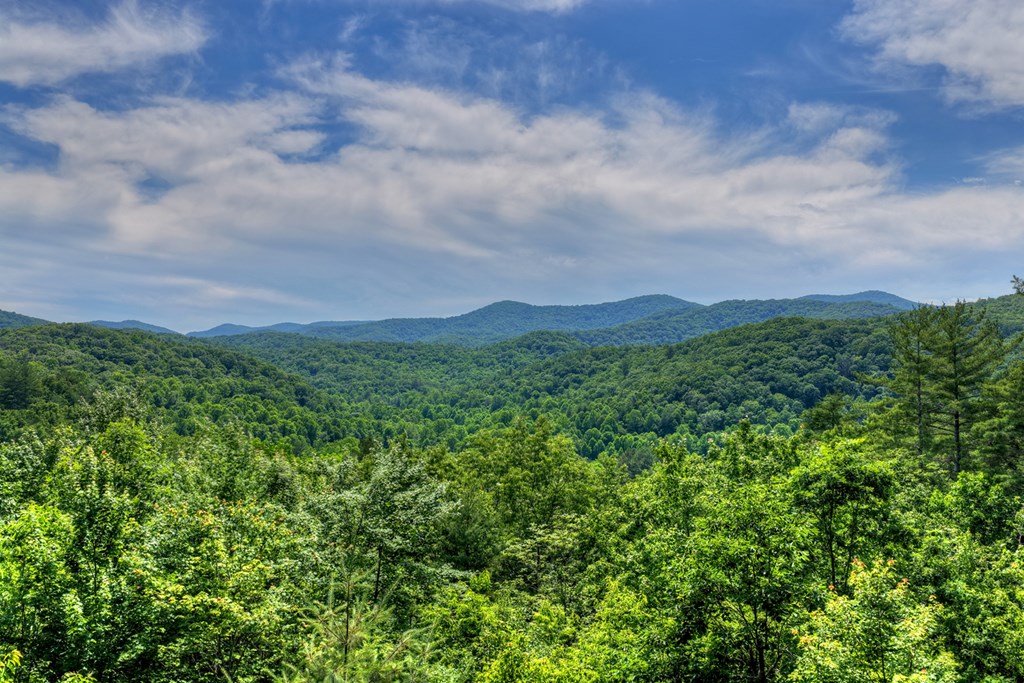 277 Hickory Nut Trail
