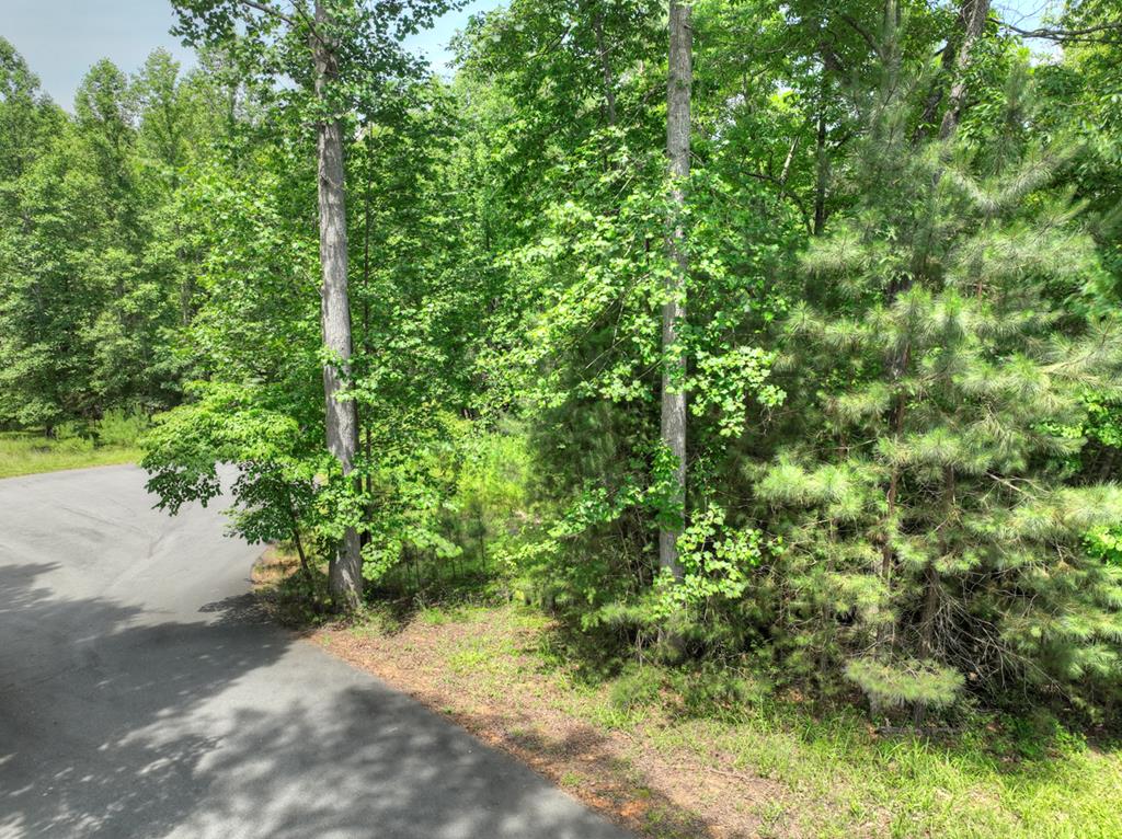 LOT 132 Fox Cove Road