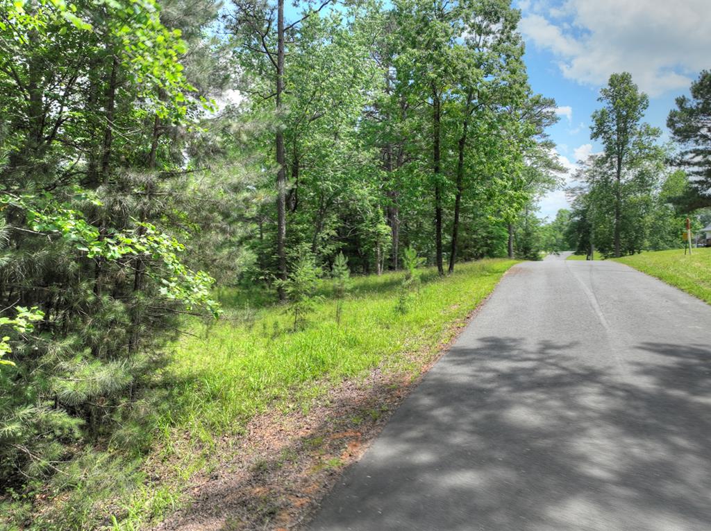 LOT 132 Fox Cove Road