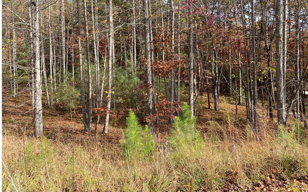 LOT 132 Fox Cove Road