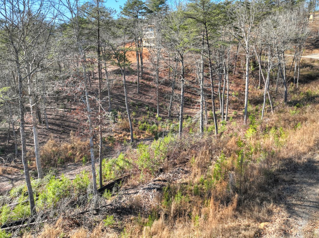 lot 16 Mountain Laurel Ridge