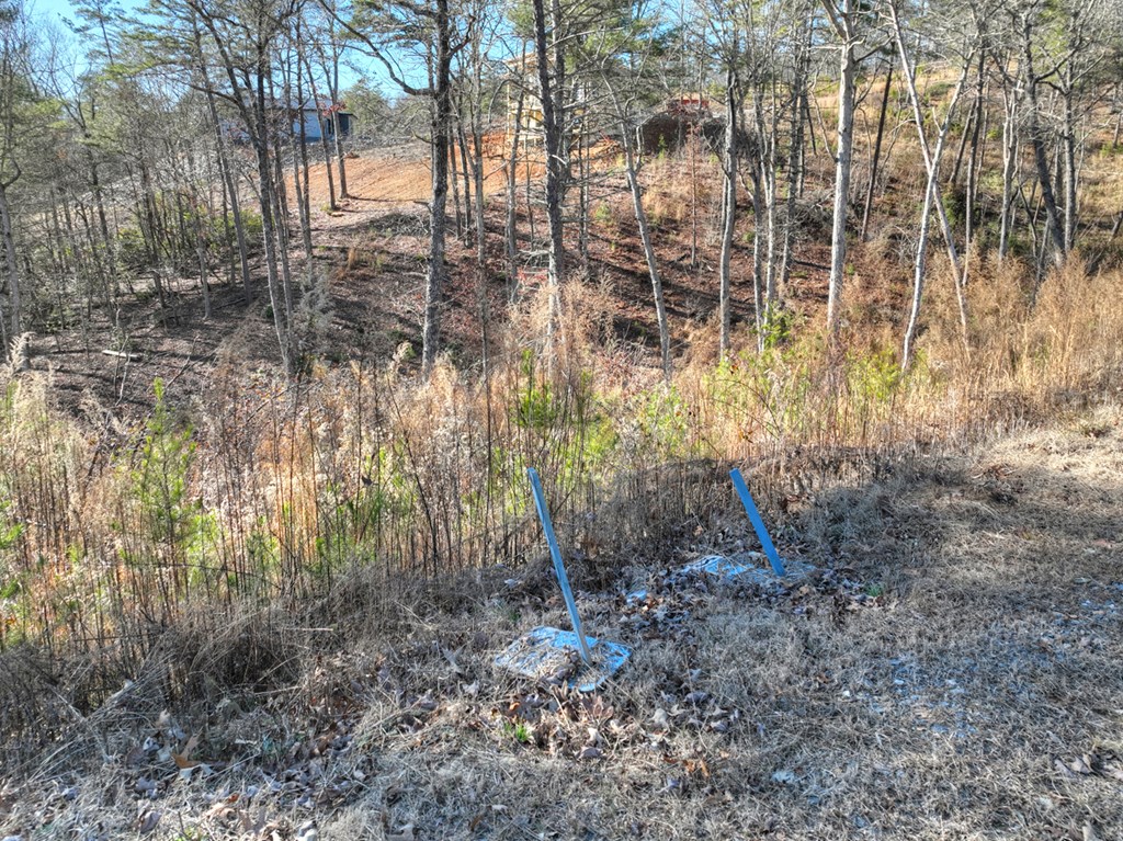 lot 16 Mountain Laurel Ridge