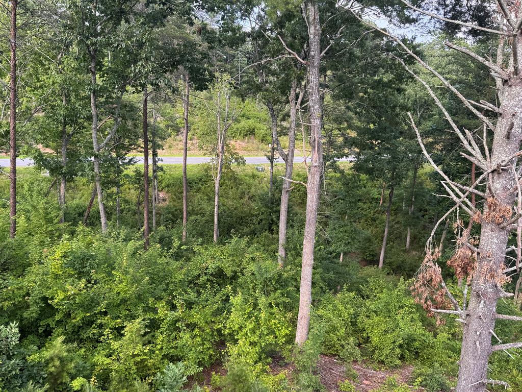 lot 16 Mountain Laurel Ridge