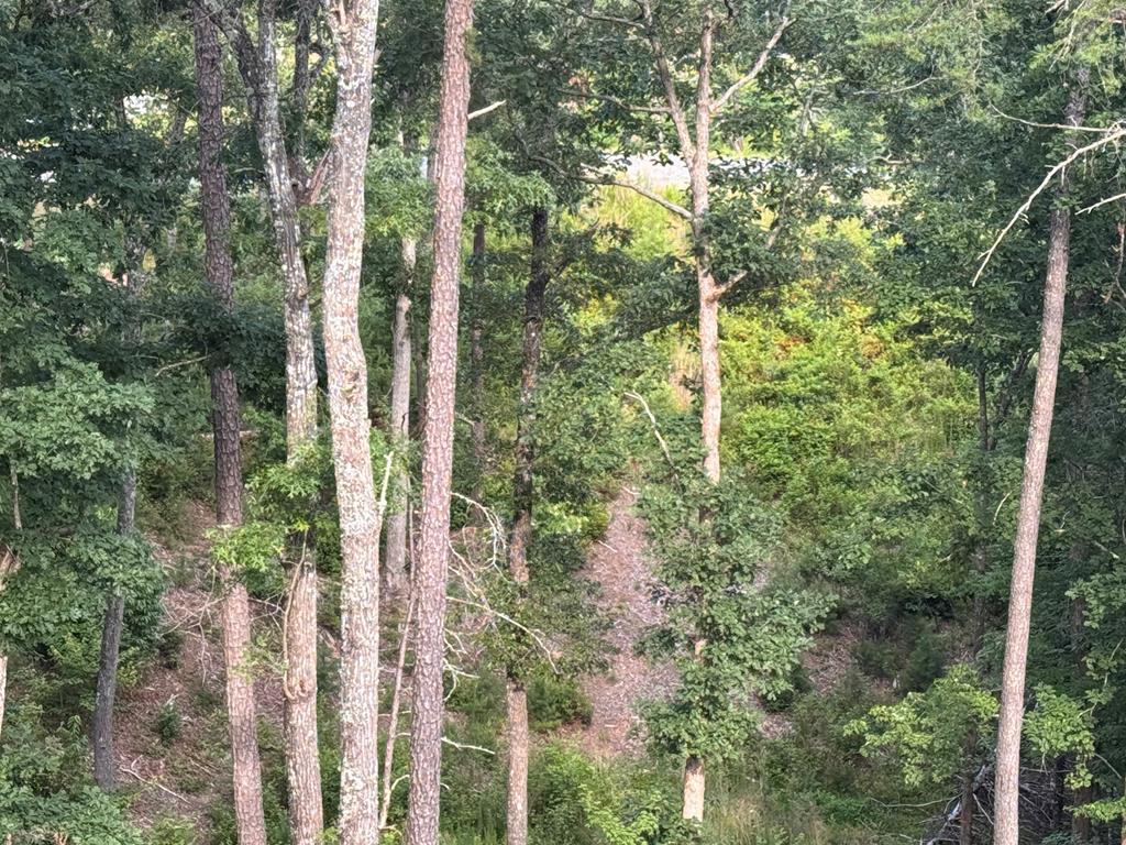 lot 16 Mountain Laurel Ridge