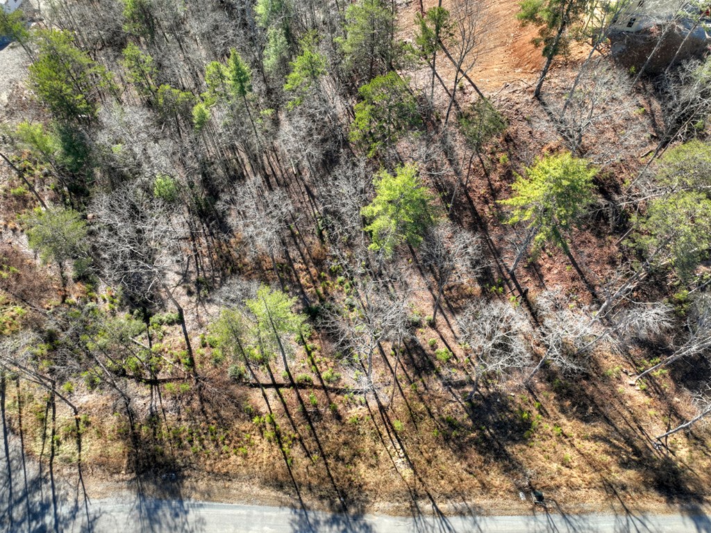 lot 16 Mountain Laurel Ridge