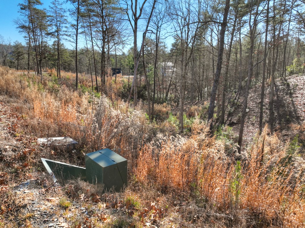 lot 16 Mountain Laurel Ridge
