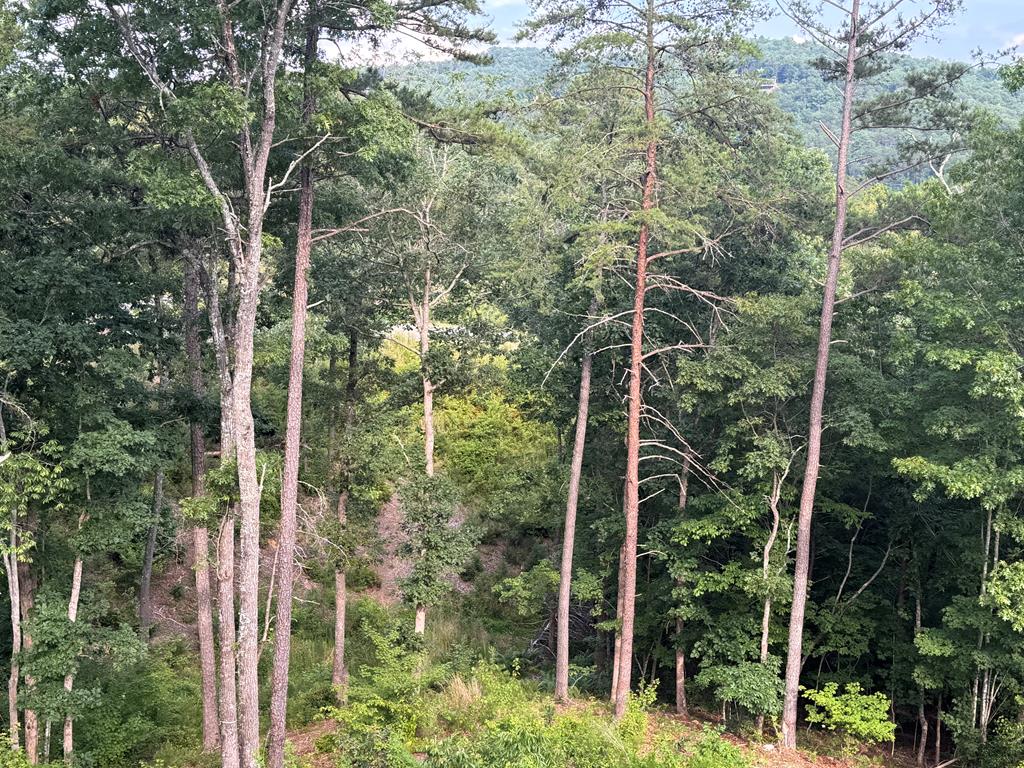 lot 16 Mountain Laurel Ridge