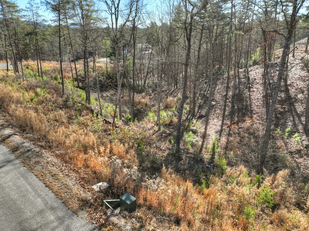 lot 16 Mountain Laurel Ridge