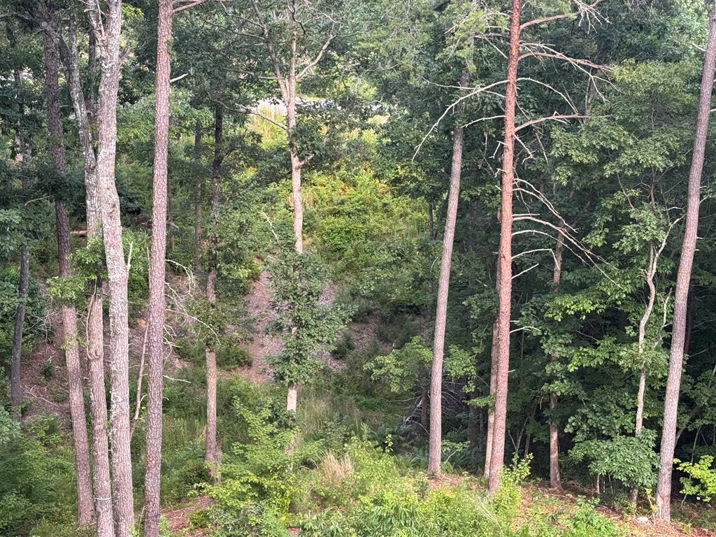 lot 16 Mountain Laurel Ridge