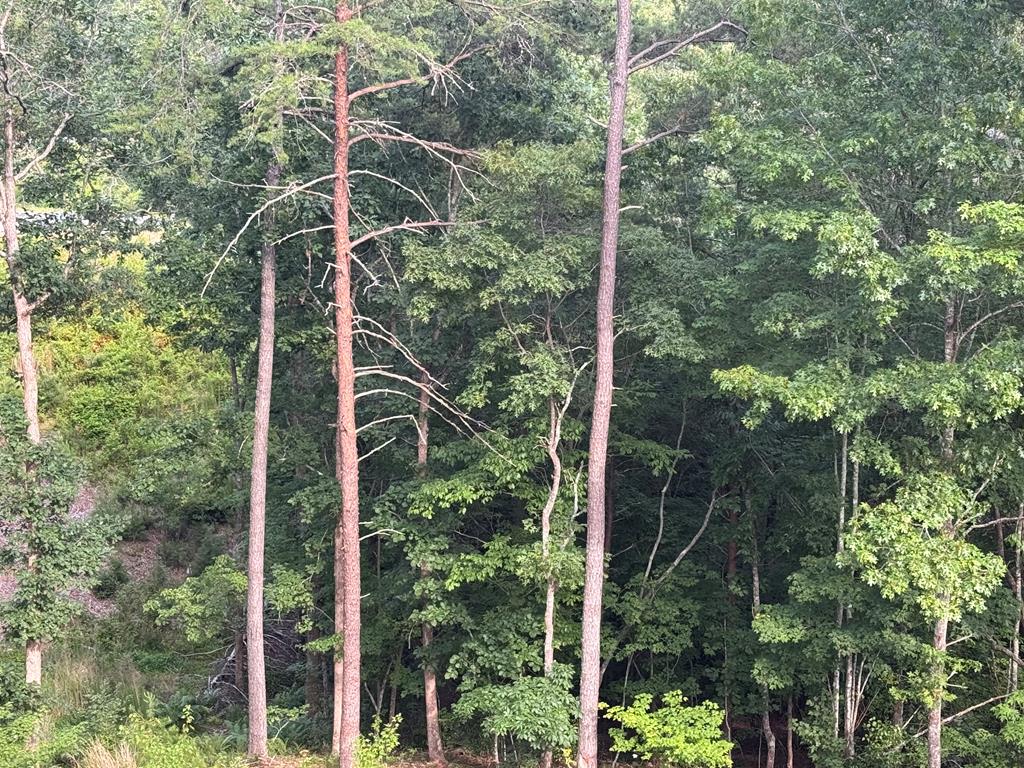 lot 16 Mountain Laurel Ridge