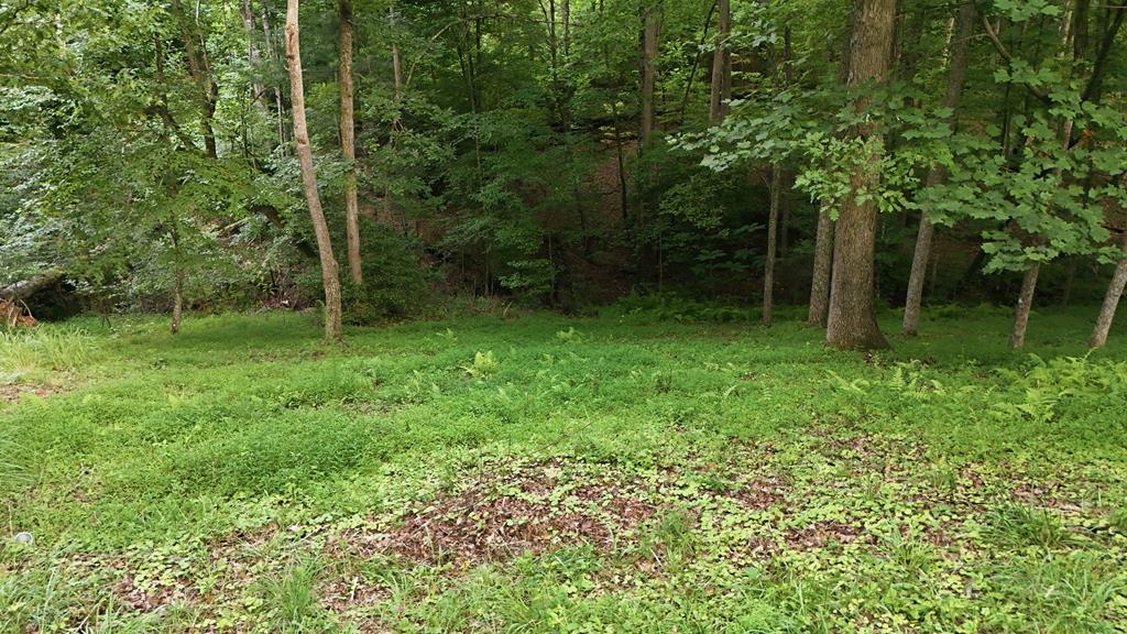 161 Arbor Way