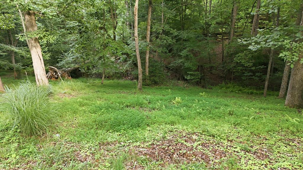 161 Arbor Way