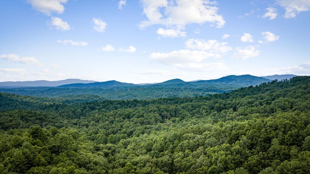 351 Black Dog Trail