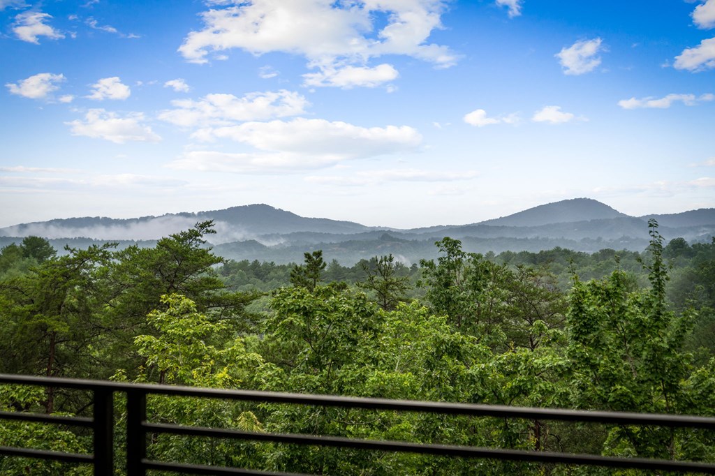 351 Black Dog Trail