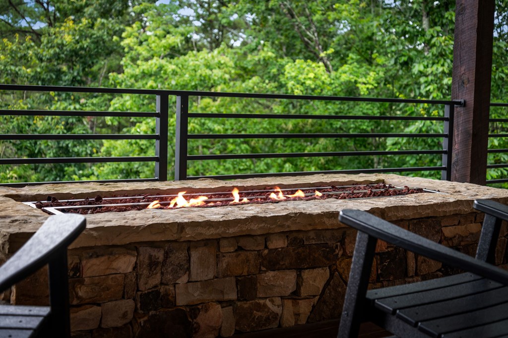 351 Black Dog Trail