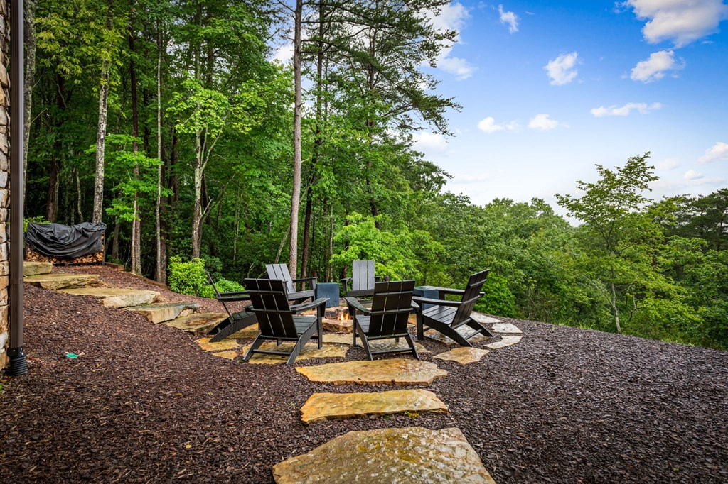 351 Black Dog Trail