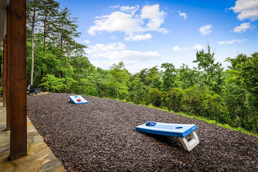 351 Black Dog Trail