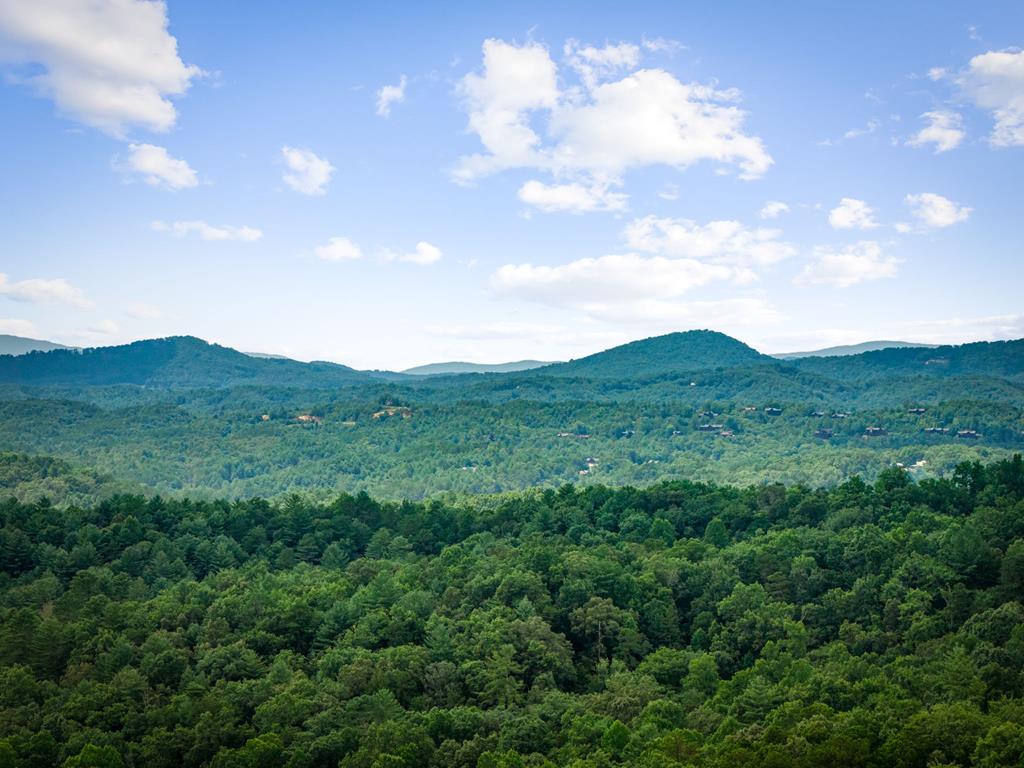 351 Black Dog Trail