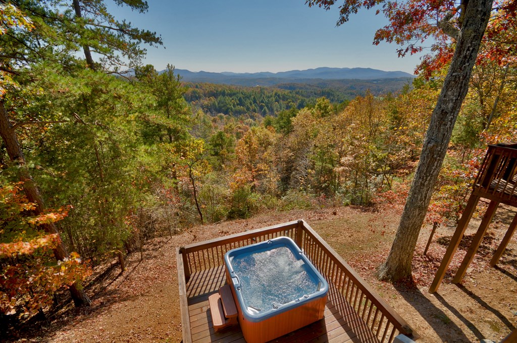 1360 Black Ankle Creek Road