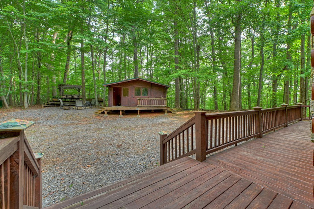 541 Little Bushy Head Road
