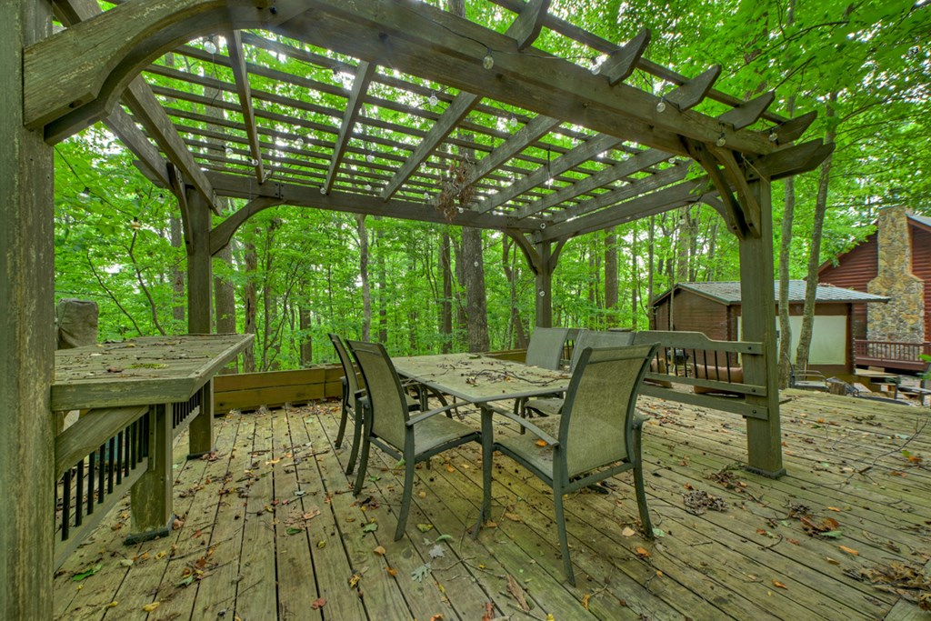 541 Little Bushy Head Road