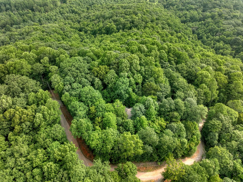 541 Little Bushy Head Road