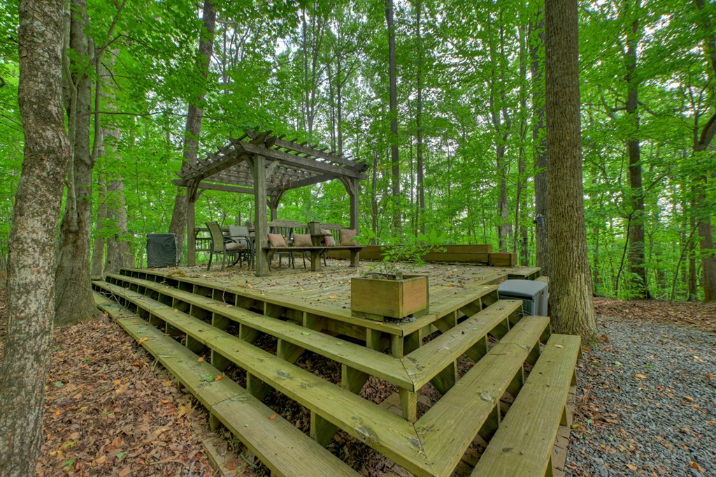 541 Little Bushy Head Road