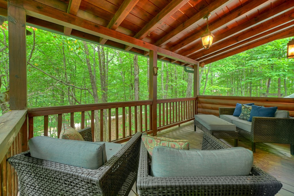 541 Little Bushy Head Road