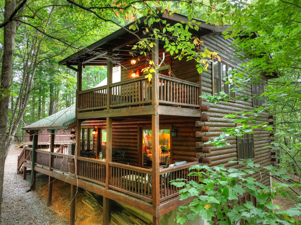 541 Little Bushy Head Road