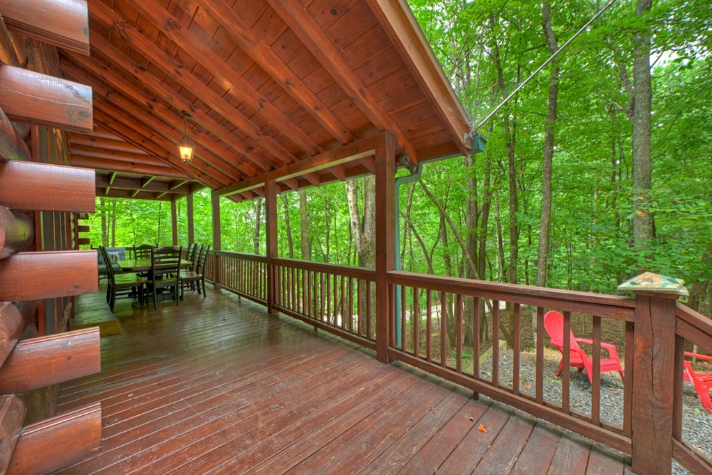 541 Little Bushy Head Road