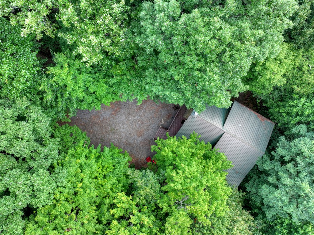 541 Little Bushy Head Road