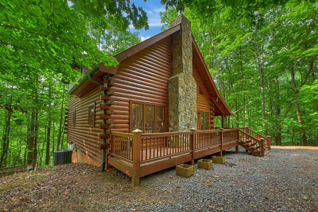 541 Little Bushy Head Road