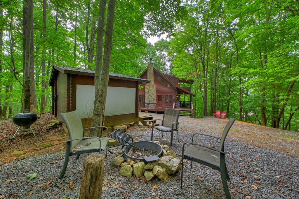 541 Little Bushy Head Road