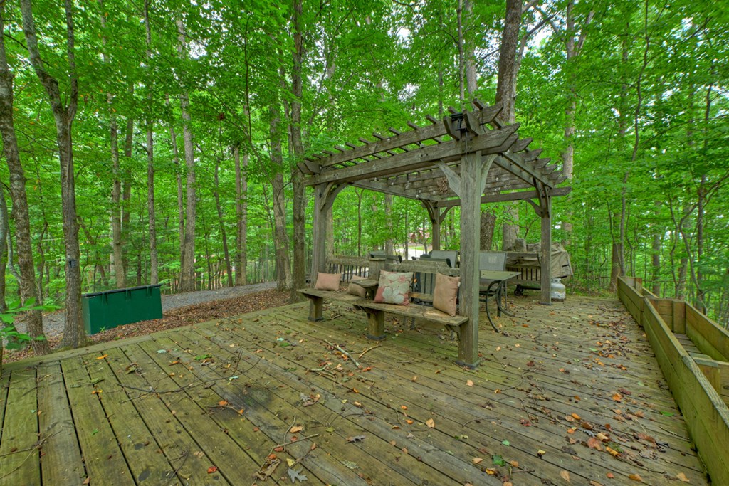 541 Little Bushy Head Road